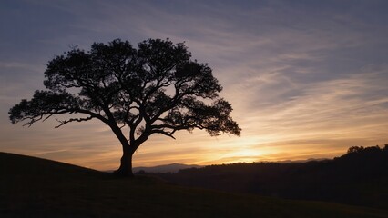 Silhouette of a large oak tree against a colorful sunset sky. The landscape features rolling hills and a serene atmosphere.