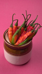 Fresh long Indian green and red chillies on beautiful background. Organic Indian spices for hot and spicy cuisine. 