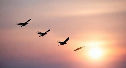Fototapeta premium Flight into Dawn Birds silhouetted against vibrant sunrise sky.