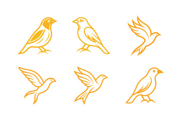 set of baya weaver bird vector illustration