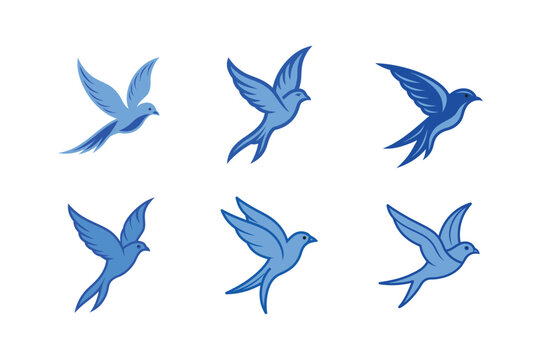 set of Himalayan manal bird vector illustration