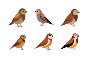 set of sparrow bird vector illustration