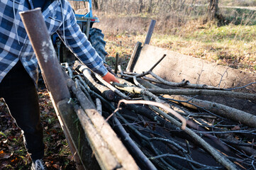Collecting firewood with a tractor in the serene autumn woods showcasing rustic beauty and hard...