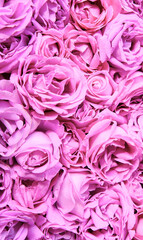 Natural background of rose petals