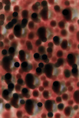 Obraz premium Abstract christmas blurry background