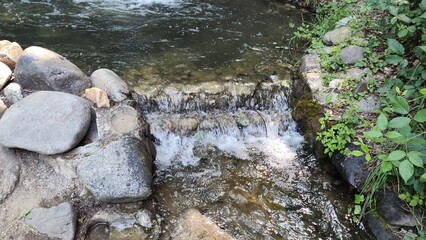 stream in the forest