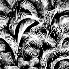 Seamless pattern with white palm tree branches isolated on a black background. Desert and tropical houseplants. 
