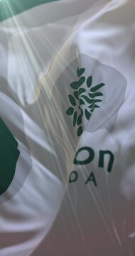 Flag of London, Ontario, Canada. 4K Vertical. Loop