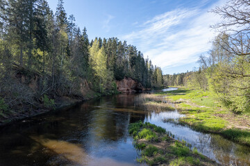 red sandstone cliffs overgrown with forest trees. Salaca river, Latvia