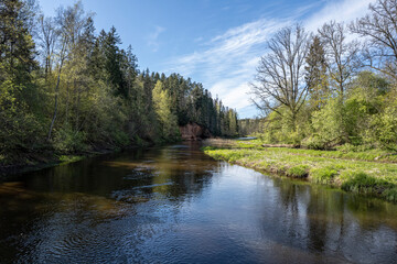 red sandstone cliffs overgrown with forest trees. Salaca river, Latvia