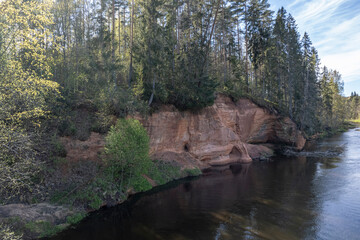 red sandstone cliffs overgrown with forest trees. Salaca river, Latvia