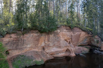 red sandstone cliffs overgrown with forest trees. Salaca river, Latvia