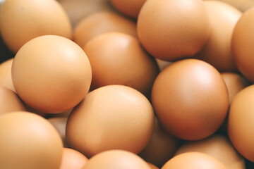 Fresh eggs from organic farms every morning