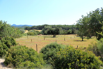 Mallorca Peguera Landschaft Balearen Insel Wanderurlaub 