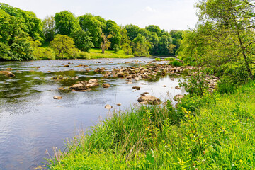 Beside the River North Tyne on a spring afternoon.