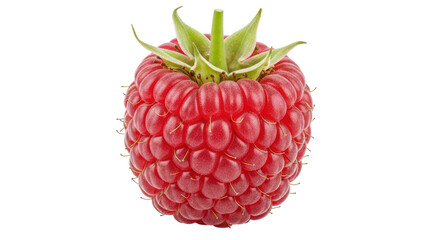 Isolated Raspberry