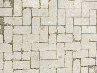 Paved Brick Walkway with Gray Stone Blocks and Green Moss in Outdoor Urban Setting