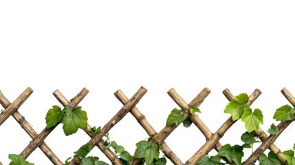 Verdant climbing vines with vibrant green leaves entwine and trail along a weathered wooden lattice structure in a serene natural garden setting