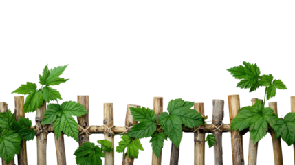 A peaceful and tranquil scene featuring lush green leaves and plants growing in a natural garden setting