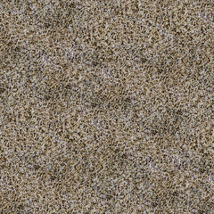 A grainy pattern of multicolored noise, resembling static with speckled shades of gray, white, and brown.