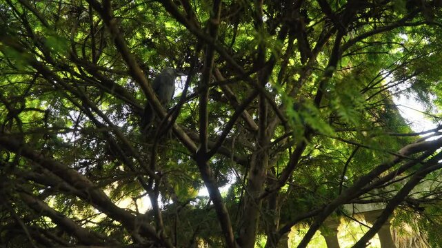 Exploring the natural beauty of Dvorac Dundjerski in Serbia with lush greenery and serene surroundings