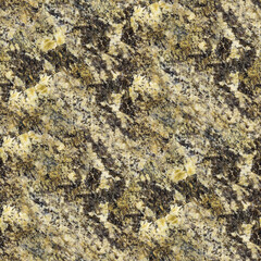A granite surface in yellow, brown, and black tones with speckled crystalline texture and rugged detail.