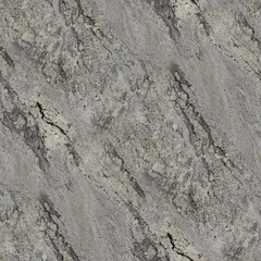 A speckled granite surface in gray, white, and black with intricate veining and rugged natural texture.