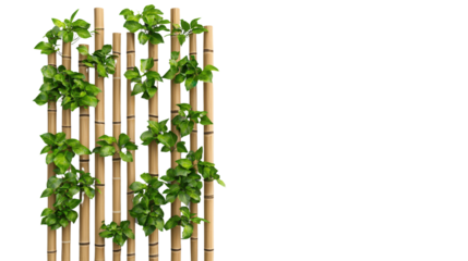 Vibrant green vines and foliage climbing up a minimalist bamboo trellis creating a serene and sustainable garden atmosphere