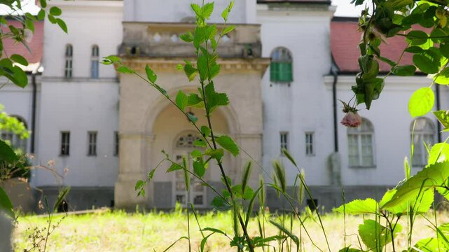 Dvorac Dundjerski in Serbia showcases beautiful yet abandoned architecture surrounded by nature