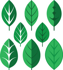 Collection of seven stylized green leaf illustrations for design elements