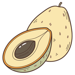 Half and whole sapodilla fruit illustration