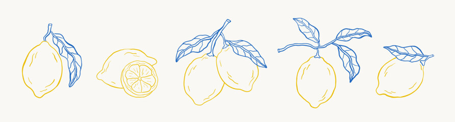 Set of doodle hand-drawn lemons. Tropical citrus fruit