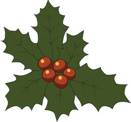 Festive green holly leaves and red berries adorn a winter branch, perfect for Christmas holiday decoration