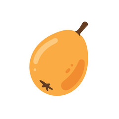 Stylized, cartoon illustration of a vibrant orange loquat fruit, isolated on a white background