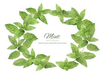 水彩で描いたミントのイラスト © fuufuu