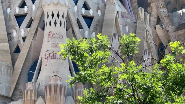 Sagrada familia: detailed shot including a tree