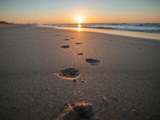 Sandy Beach at Golden Hour with Footprints