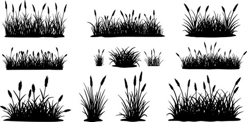 The silhouette of the grass set. Vector illustration