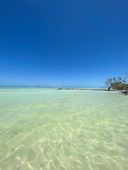Crystal-clear waters off Holbox Island in the Mexican Caribbean
