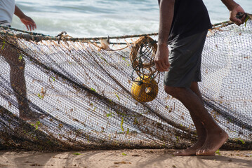 Half a body of unidentified fishermen collecting the fishing net after catching fish. Seafood,...