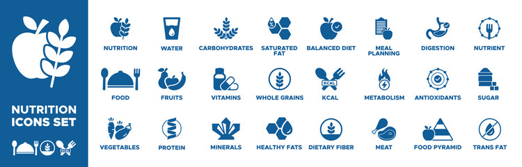 Nutrition icon set. nutrition, food, vegetables, protein, fruits, water, carbohydrates, vitamins, minerals, healthy fats, whole grains, saturated fat icons. Solid icon collection. Vector illustration.