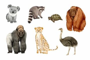 Watercolor of animals set on white background. Watercolor of koala, raccoon, tortoise, cheetah, ostrich, orangutan, and gorilla isolated. Sketch of zoo animals © Wiwi