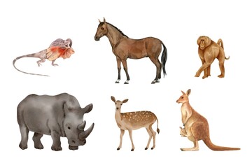 Obraz premium Watercolor of animals set on white background. Watercolor of iguanas, monkeys, horses, deer, kangaroos, and rhinos isolated. Sketch of zoo animals