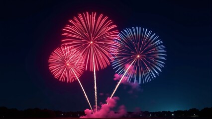 Fireworks Display Against a Dark Sky