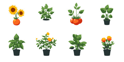 Collection of minimalist flat vector illustrations featuring various plants in pots, suitable for gardening and nature themes