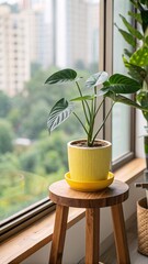 Indoor Houseplant by Window Stylish Yellow Planter on Wooden Stool with Cityscape View and Natural Light for Urban Décor
