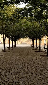 Panning view of cobblestone courtyard surrounded by trees kampa charles bridge vertical footage