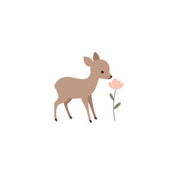 Fototapeta premium A simplistic cartoon of a fawn smelling a pale pink flower against a blank white background