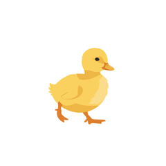 Fototapeta premium Simple illustration of a cute yellow duckling against a white background