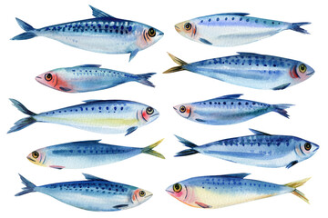 Watercolor Sardines Clipart Set Blue Ocean Fish Fresh Seafood Elements for Packaging Recipe Design Coastal Kitchen Nautical Decor
